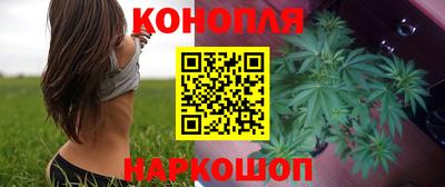 индика Краснознаменск
