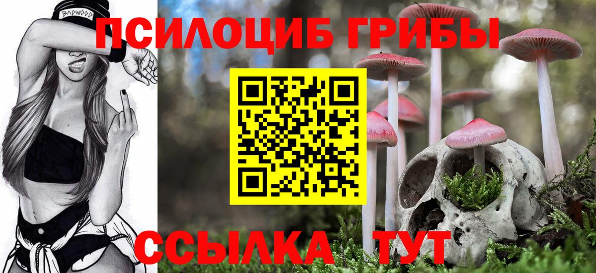 Галлюциногенные грибы мухоморы  Вход с VPN  цены   Черкесск 