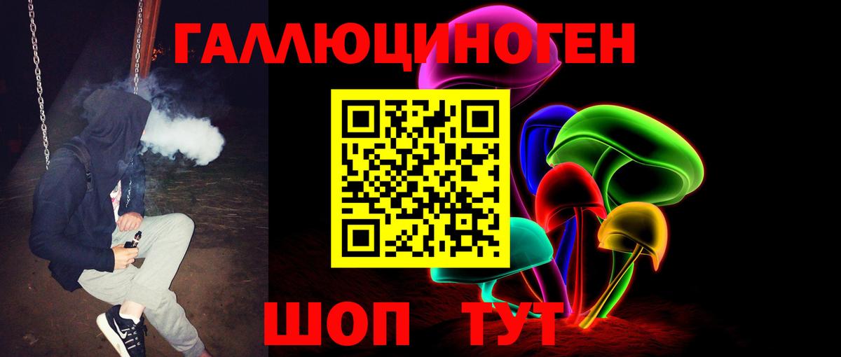 Галлюциногенные грибы Psilocybe Черкесск